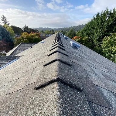Residential Roofing Services