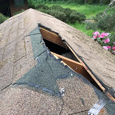 Roof Repair Services